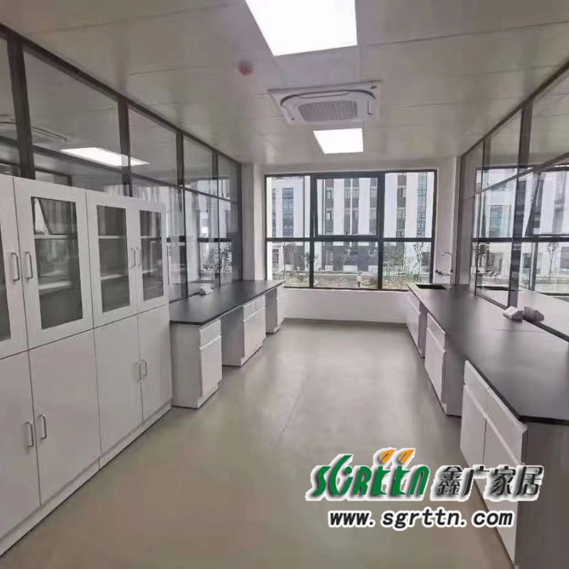 潍坊药品柜，潍坊实验室药品柜，潍坊实验室器皿柜厂家