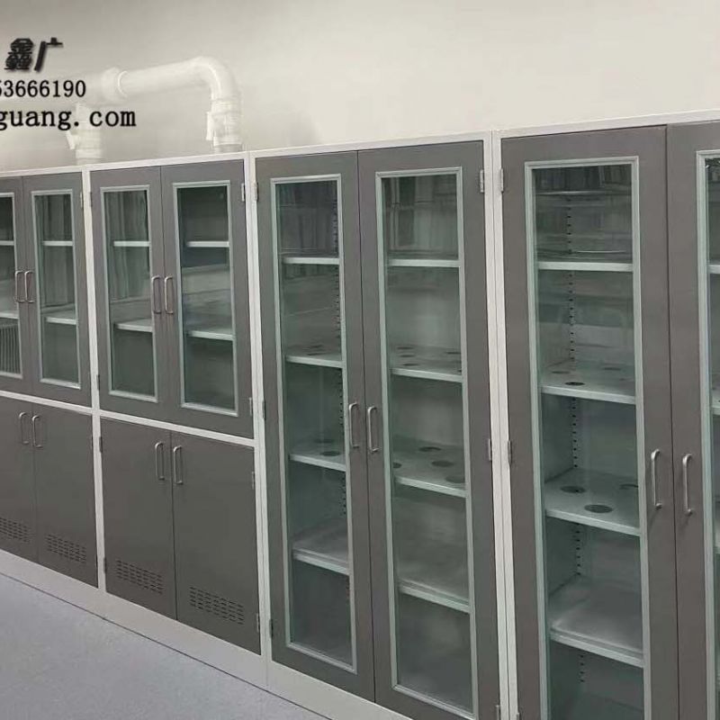 山东实验室药品柜，药品试剂柜仪器柜器皿柜实验台