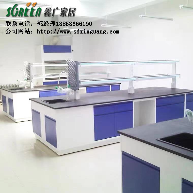 山东实验室家具-钢木实验台