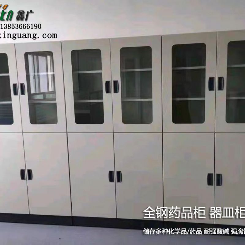 山东实验室器皿柜