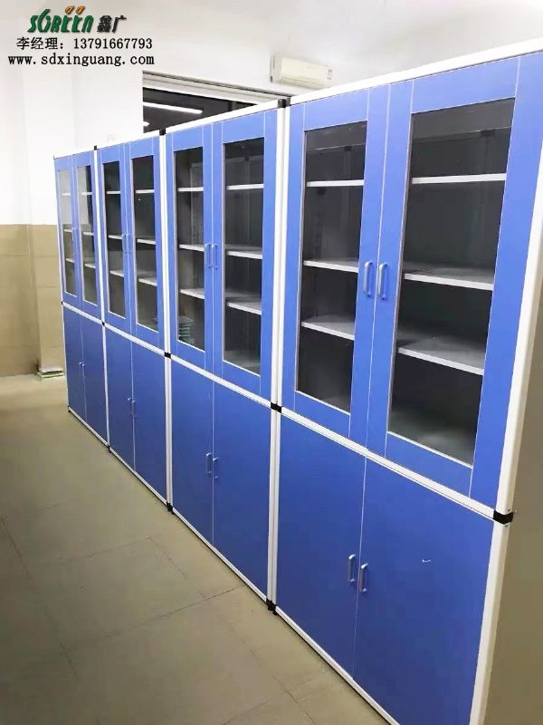 潍坊实验室设备药品柜全钢 排风药品柜 试剂柜 实验室试剂柜 酸碱柜