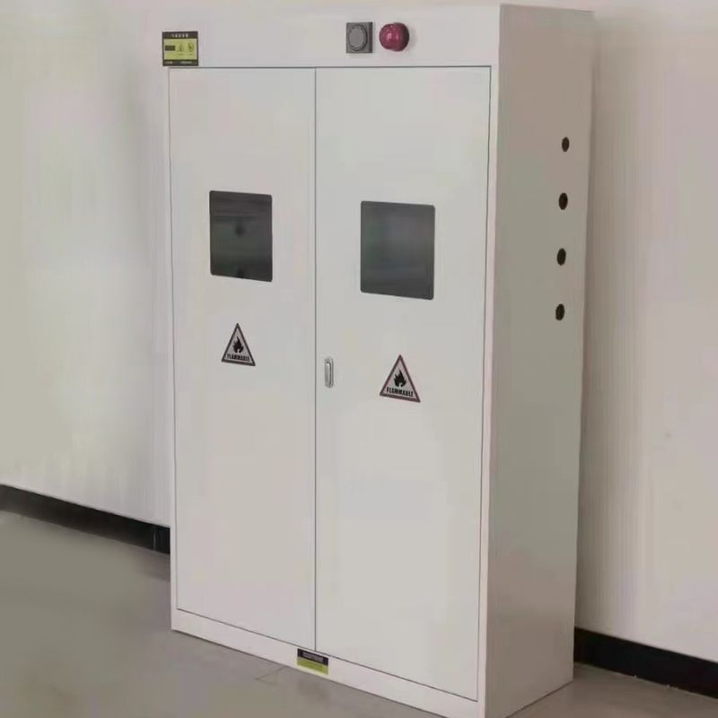 潍坊实验室设备 实验室防爆气瓶柜定制