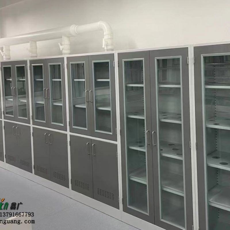 潍坊鑫广 实验室药品柜批发 厂家定做不锈钢药品柜供应