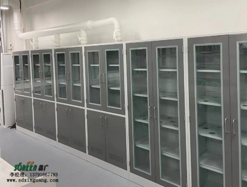 潍坊鑫广 实验室药品柜批发 厂家定做不锈钢药品柜供应