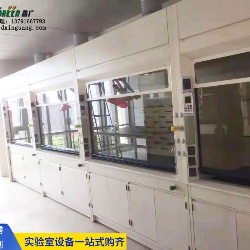 潍坊实验室家具 pp通风柜 钢木实验台 实验室设计