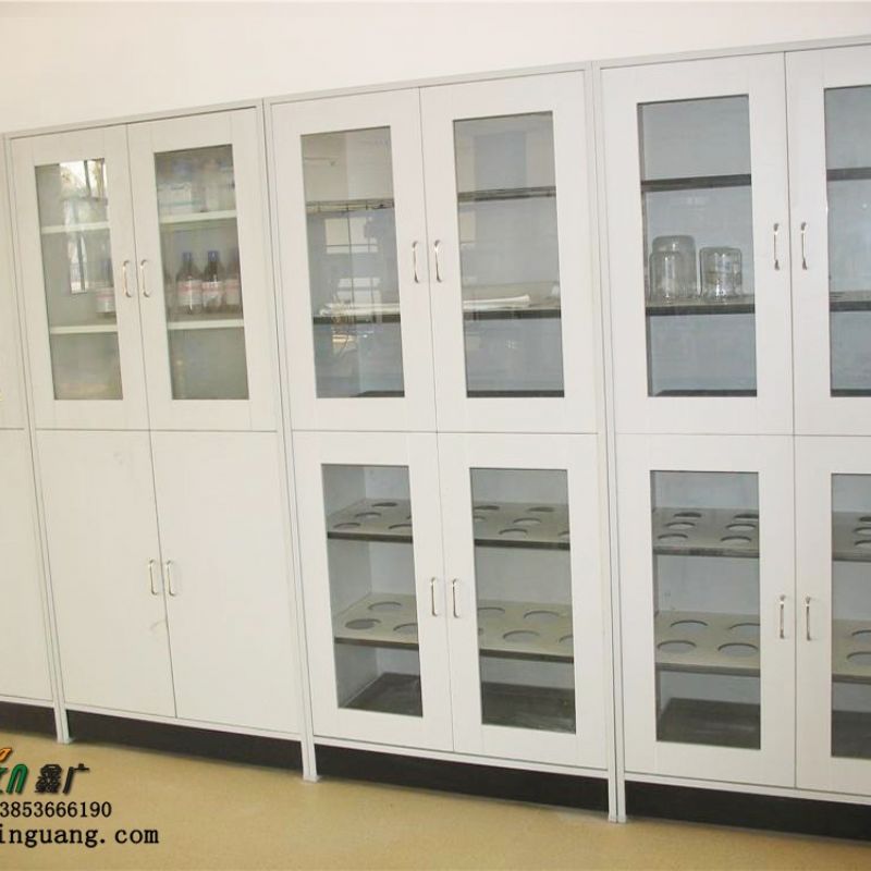 山东药品存放柜 检验科实验室药品柜 全钢药品柜