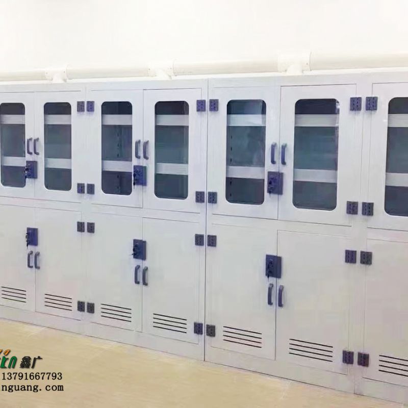 潍坊定制实验室耐酸碱腐蚀试剂柜药品柜 器皿柜样品柜