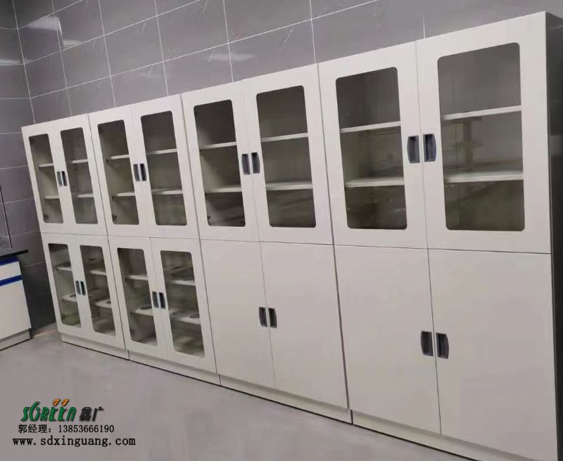 山东实验室药品柜 实验室专用存储柜 PP药品柜 耐酸碱存放柜