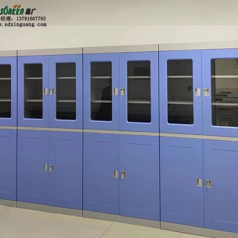 潍坊实验室设备 试剂储存柜 生物技术实验室药品柜