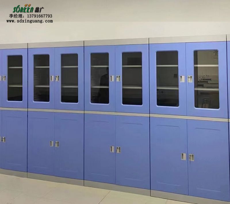 潍坊实验室设备 试剂储存柜 生物技术实验室药品柜