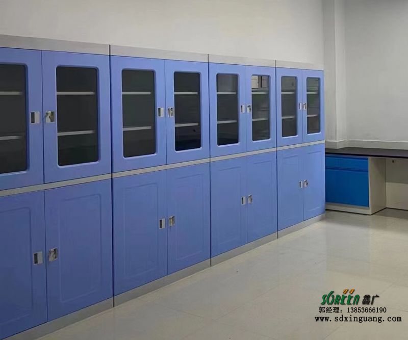 山东实验室家具 铝木药品柜 学校实验室试剂柜 器皿柜