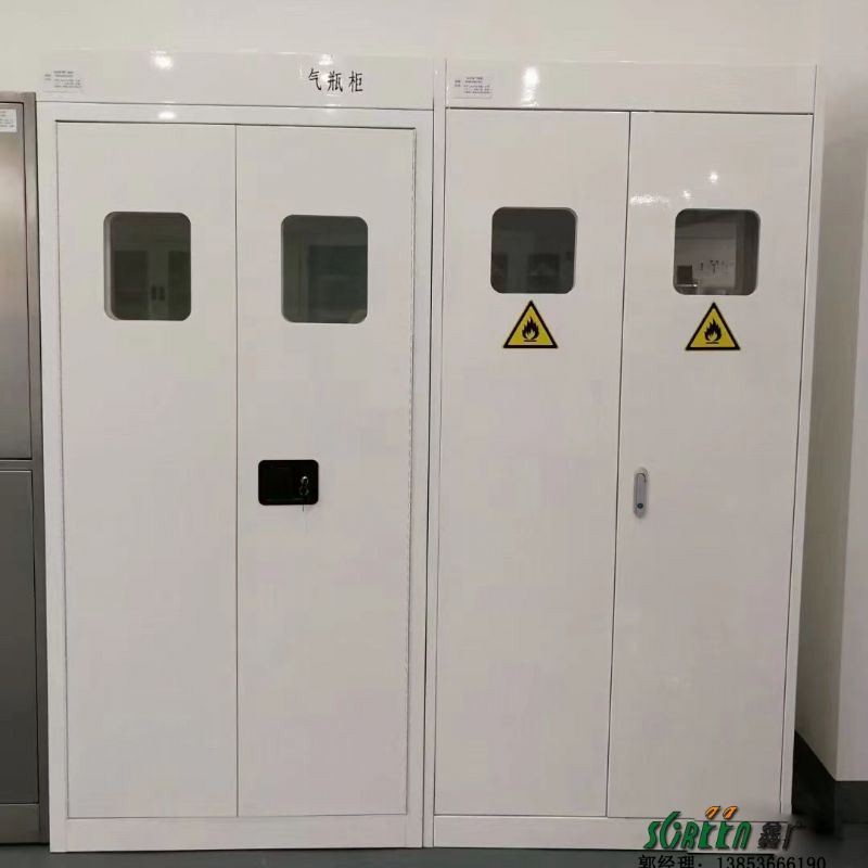 山东实验室全钢气瓶柜 双瓶气体钢瓶 储存柜