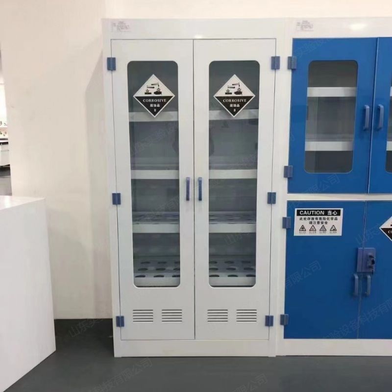 山东潍坊PP药品柜 器皿柜 储存柜 实验室台柜 可定制