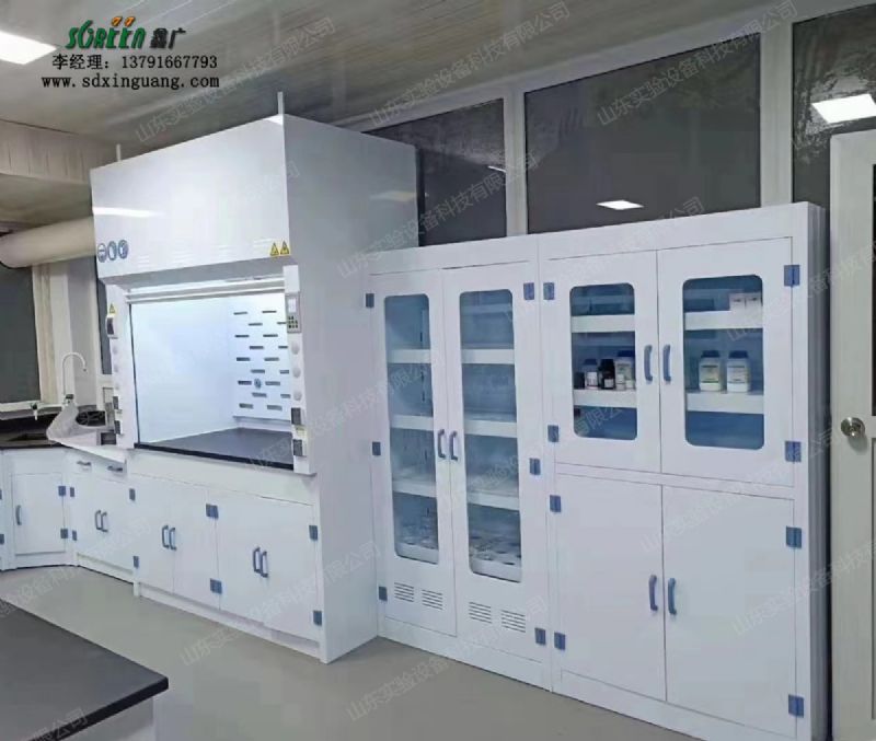 山东鑫广化验室PP药品柜 器皿柜 实验室试剂柜 化学存储柜