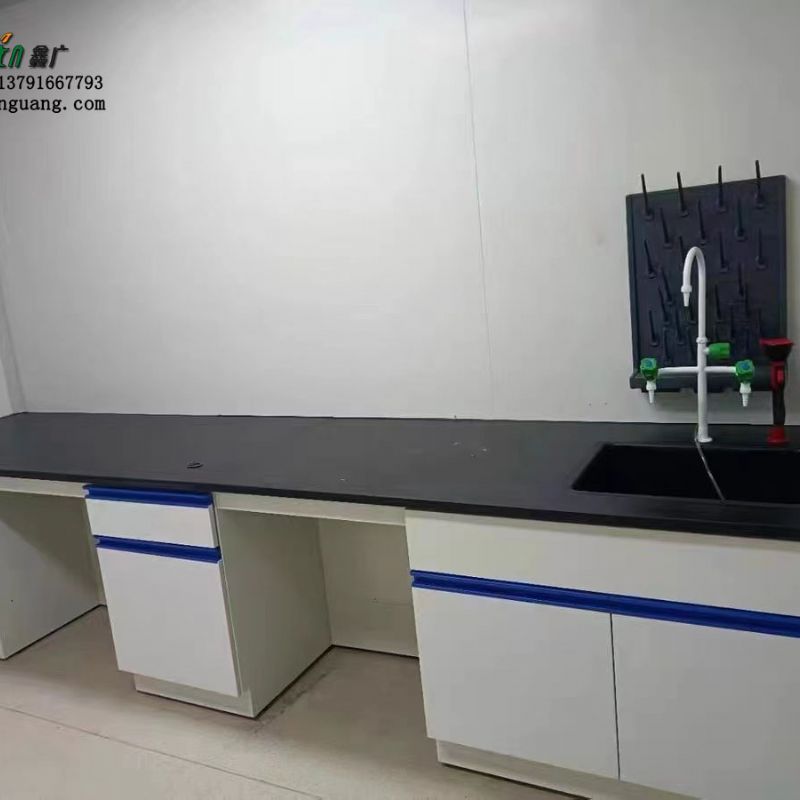 山东实验室家具定做厂 实验室样本柜 器皿柜 化学品柜生产商