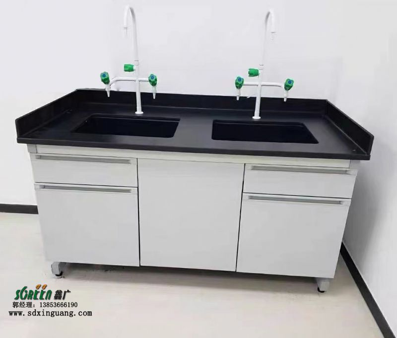 山东潍坊实验室PP水槽台 水池台 洗手清洁台 专用水槽池