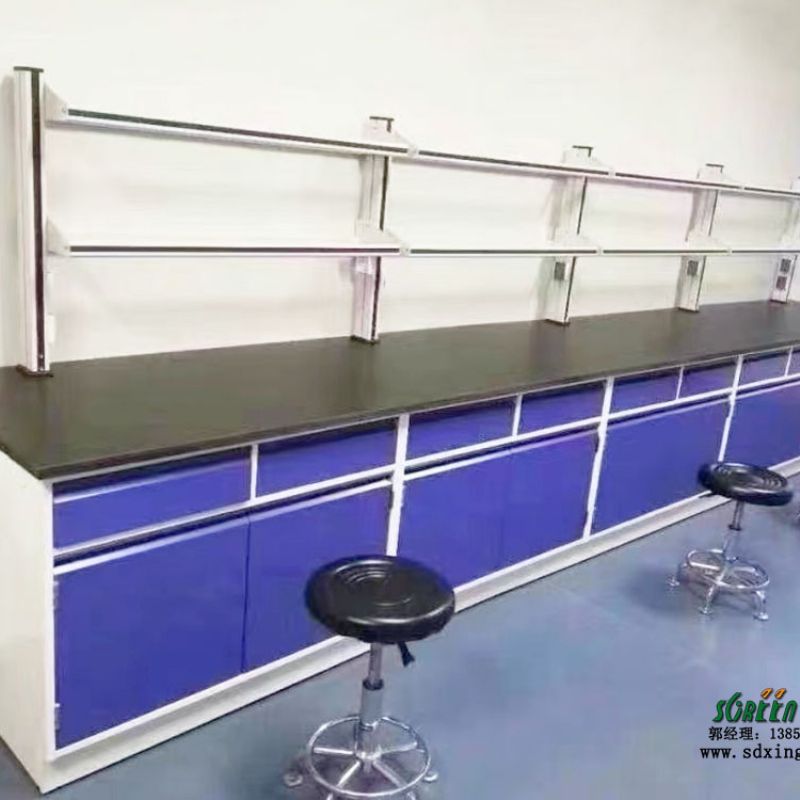 山东鑫广全钢实验室边台 带试剂架 通风橱 实验台可定制