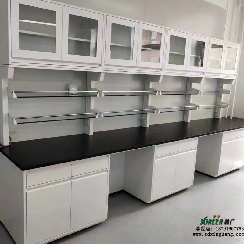 潍坊淄博东营菏泽实验台 带吊柜 通风柜万向排气罩定做