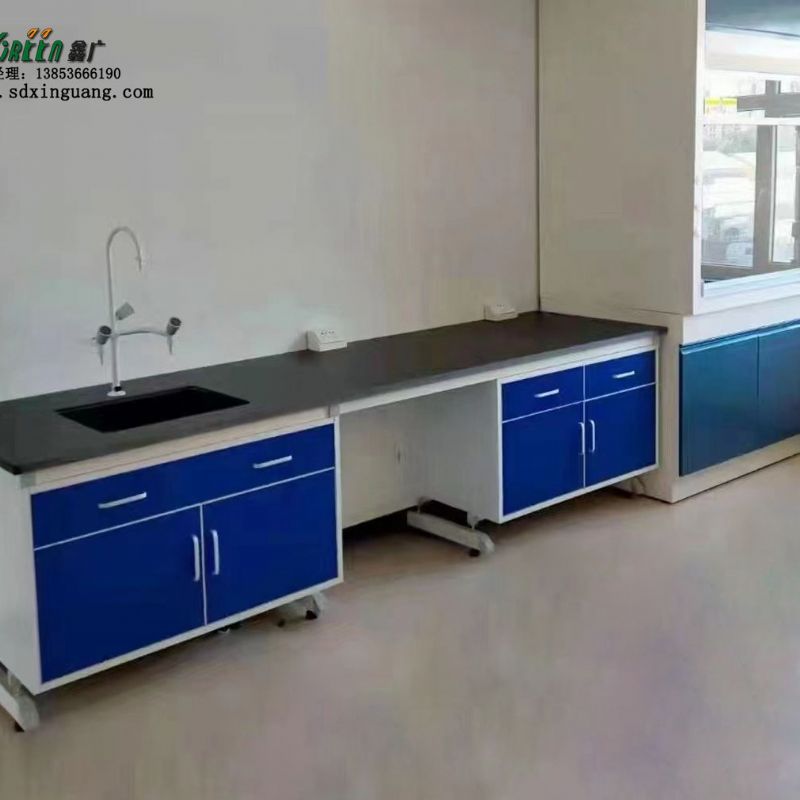 山东鑫广钢木实验台 带水槽台 化验室通风橱定制