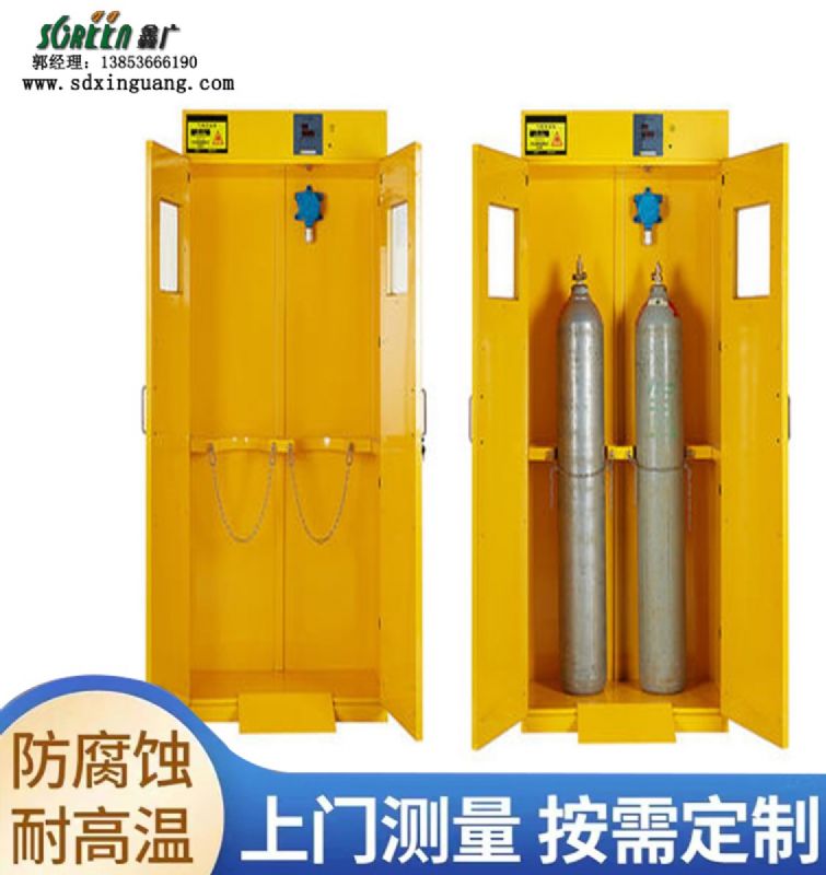 气瓶柜 化学品药品安全柜 山东鑫广实验室防爆柜 可定制