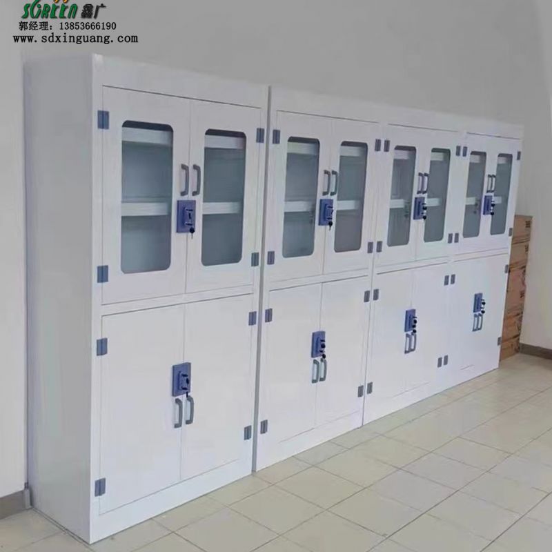山东鑫广PP耐酸碱器皿柜 化学药品柜 实验室药品存储柜供应