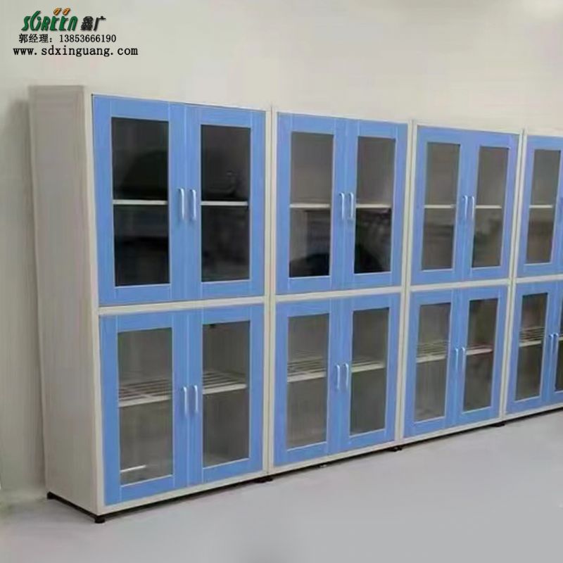 潍坊腐蚀PP试剂药品柜 实验室设备 多功能柜样品柜
