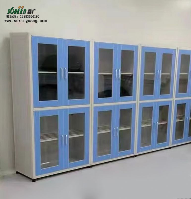 潍坊腐蚀PP试剂药品柜 实验室设备 多功能柜样品柜