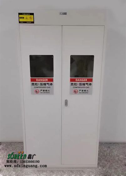潍坊淄博济宁实验室智能全钢气瓶柜 医用单双三瓶带报警器