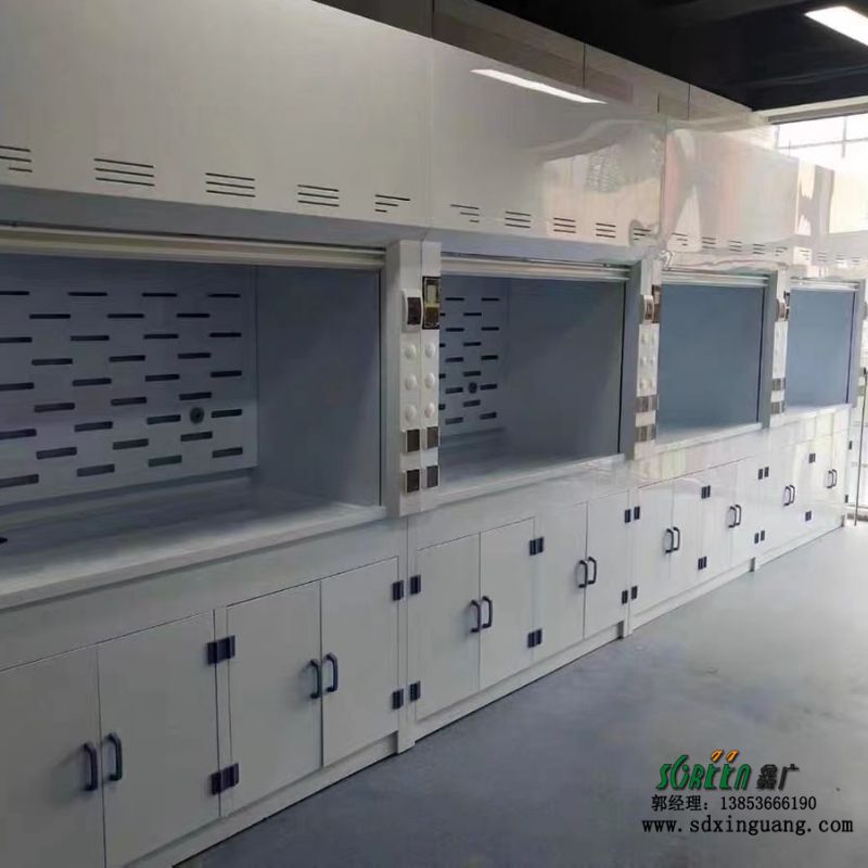 PP通风橱 防腐排风柜 实验室家具定制 耐酸碱性排风设备