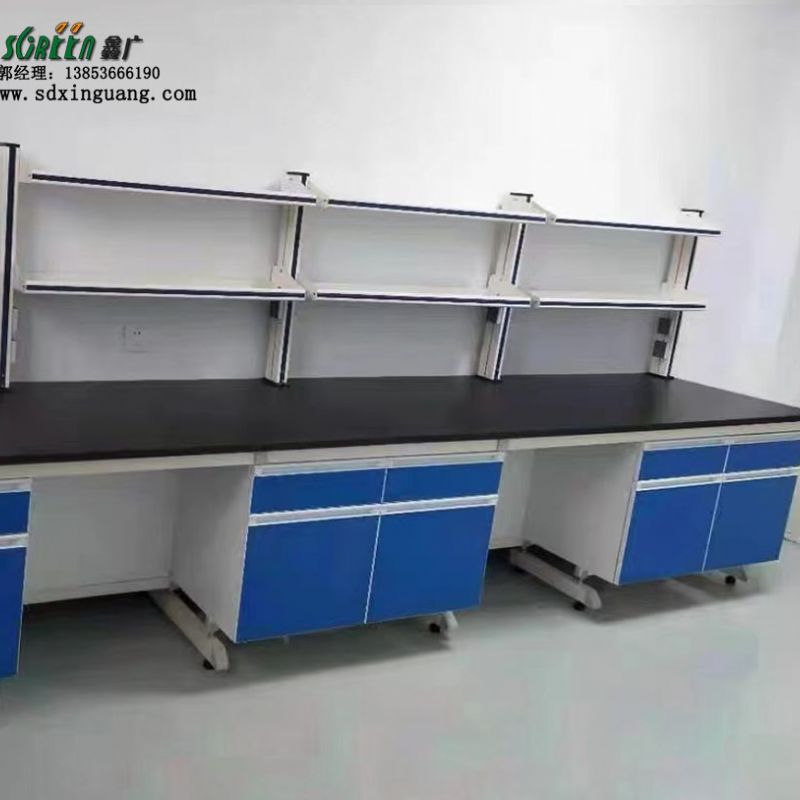 山东潍坊青岛烟台威海定制钢木实验台 通风柜 试剂架 水槽台