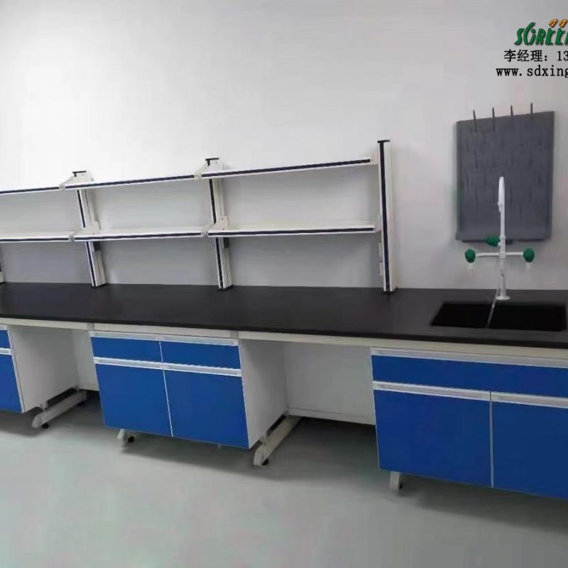 钢木中央试验操作边台 化学试剂架 通风橱柜