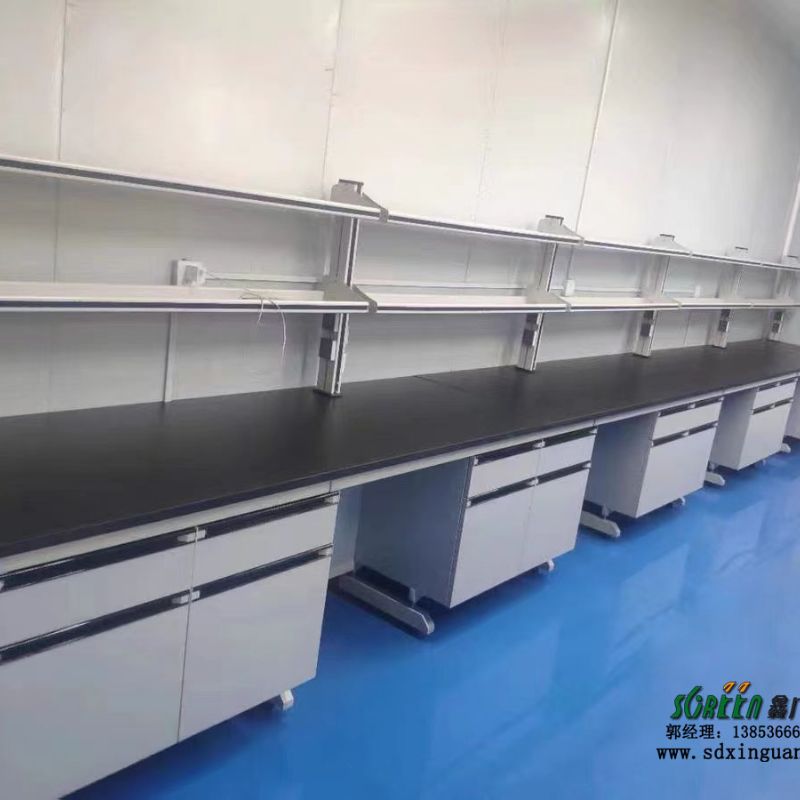 检测实验室实验台 实验室台柜厂家 抗腐蚀 山东鑫广