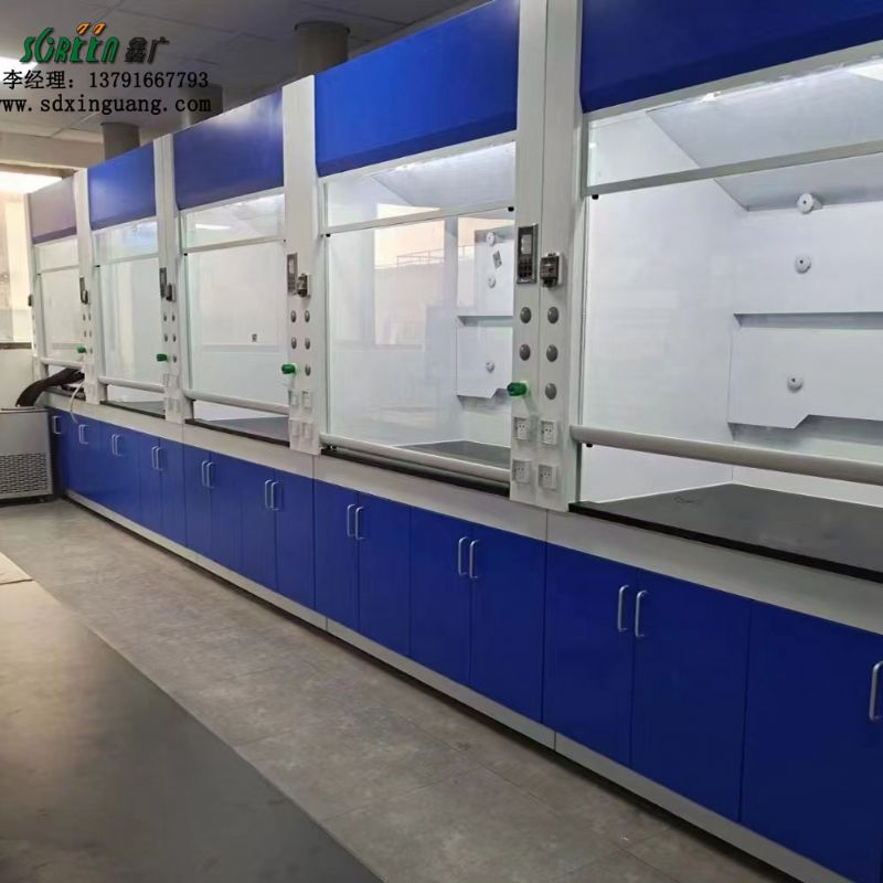 山东全钢通风柜PP通风橱桌上型排风柜 通风变频系统 步入式落地