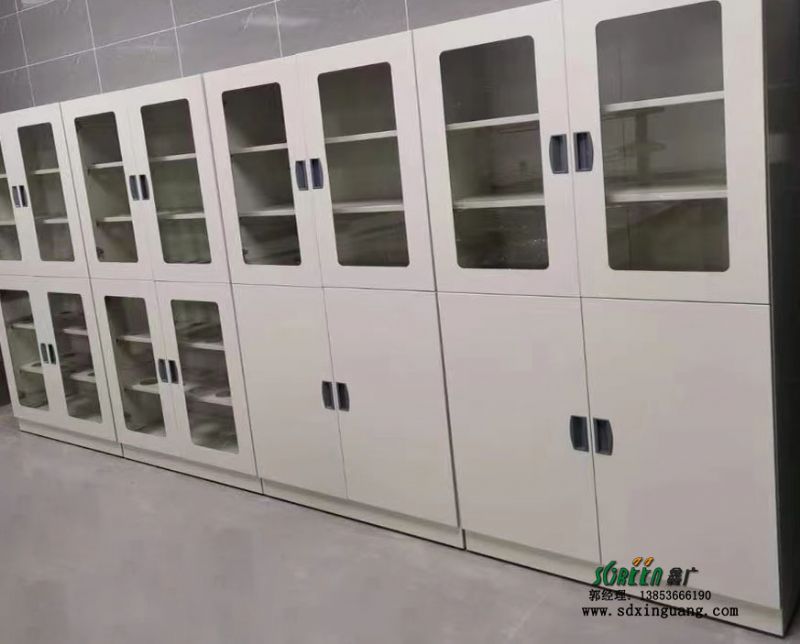 实验室钢木药品柜 试剂柜 器皿柜 化学试剂储存柜鑫广