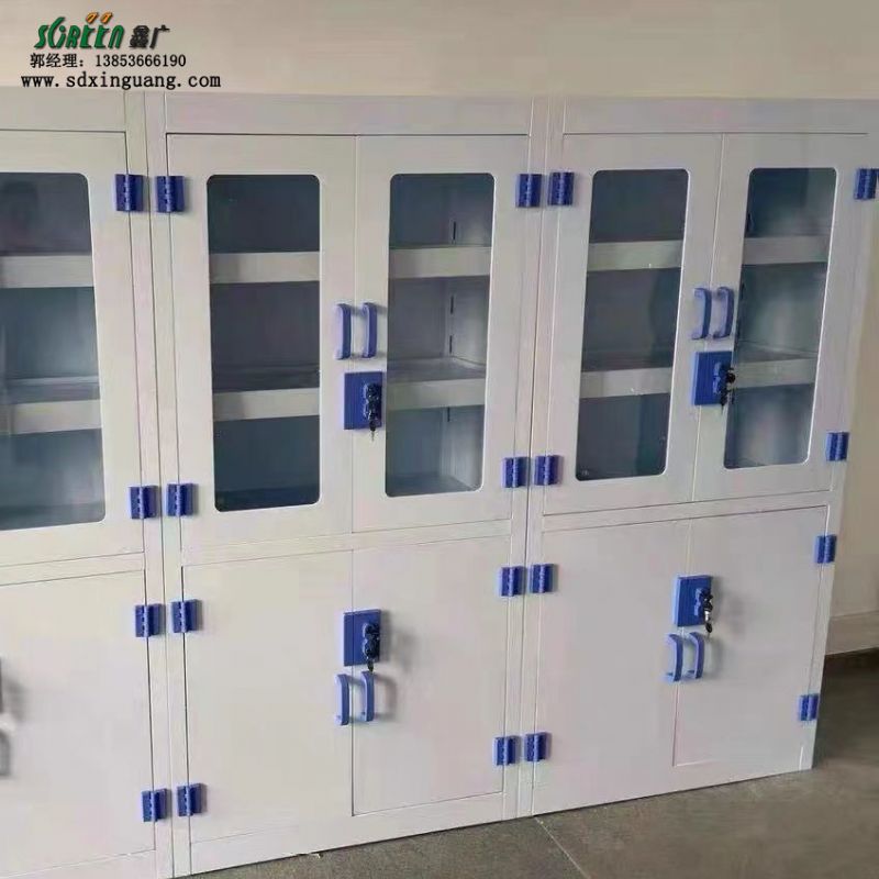 山东鑫广试剂柜 强酸强碱防腐蚀化学器皿柜 双锁安全柜