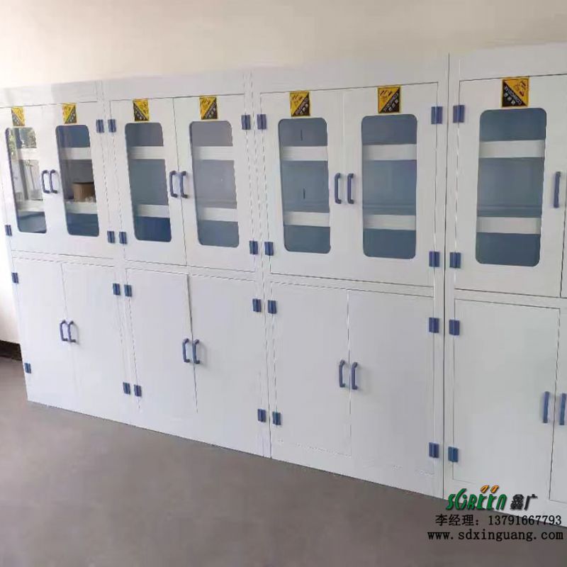 山东实验室设备厂家 全钢PP药品柜实验台通风柜 现货供应