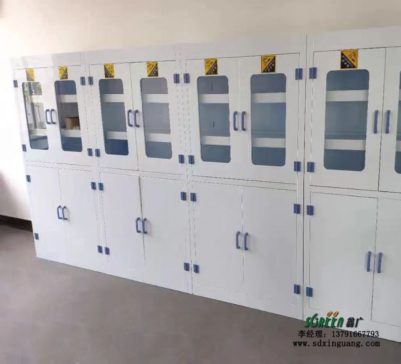 山东实验室设备厂家 全钢PP药品柜实验台通风柜 现货供应