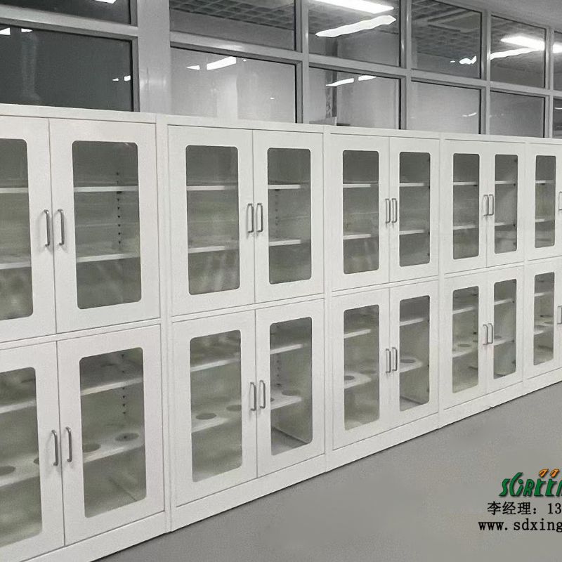 实验室加厚全钢器皿柜 药品存放柜 全钢pp钢木材质可定制