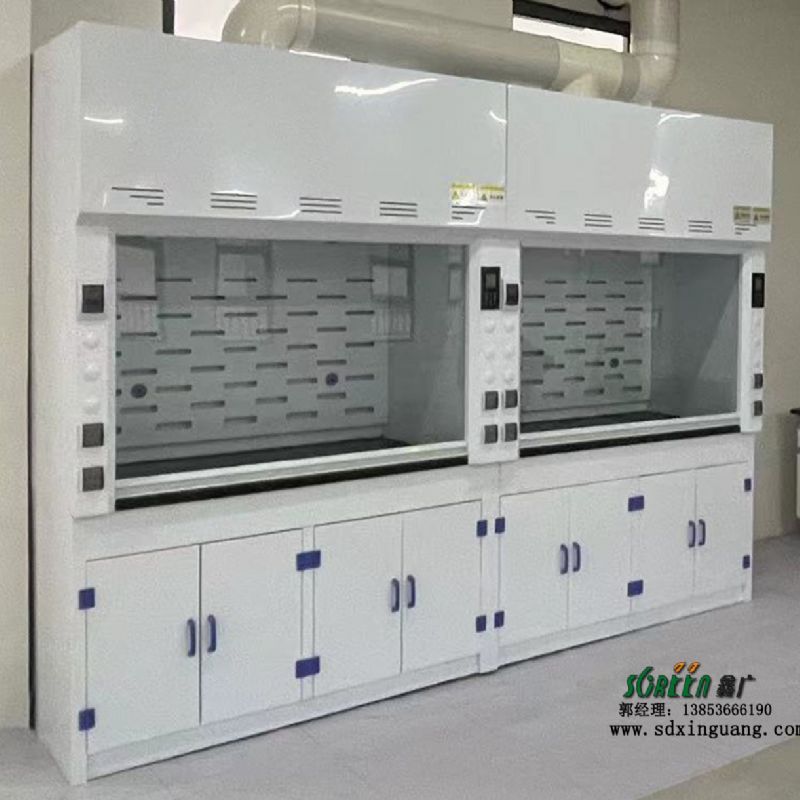 pp材质通风柜 实验室专用 带锁耐酸碱实验台鑫广定制