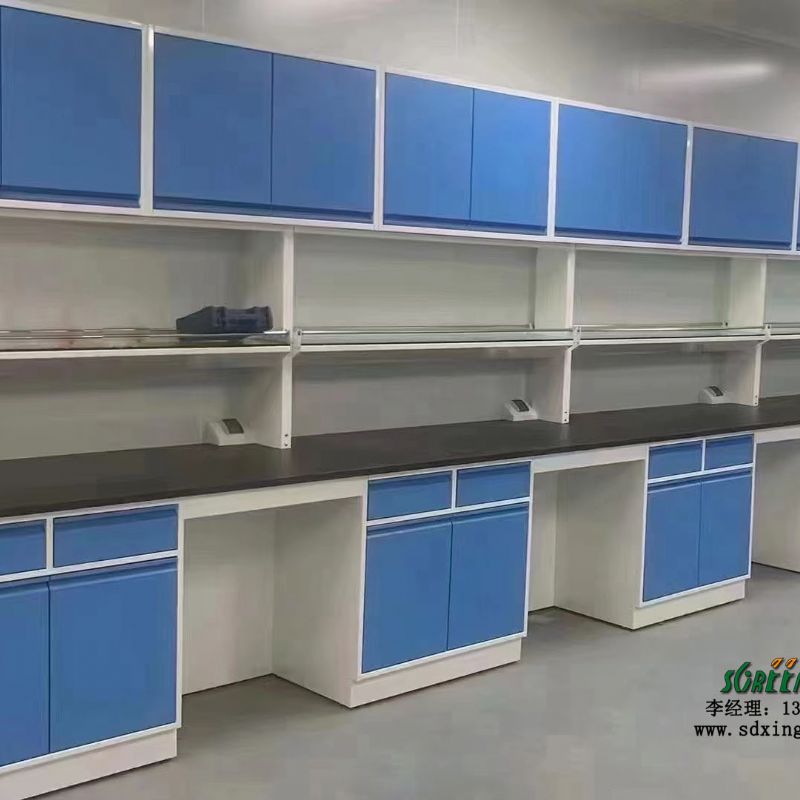 全钢实验室中央台 带吊柜 实验桌操作台实验台