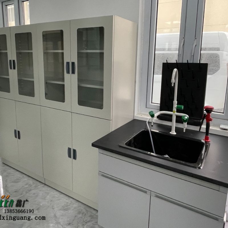 实验室水槽台 三联水咀 实验室洗眼器 全钢器皿柜厂家