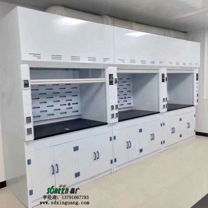 鑫广pp通风橱柜化验室操作桌器皿柜实验室设备厂家