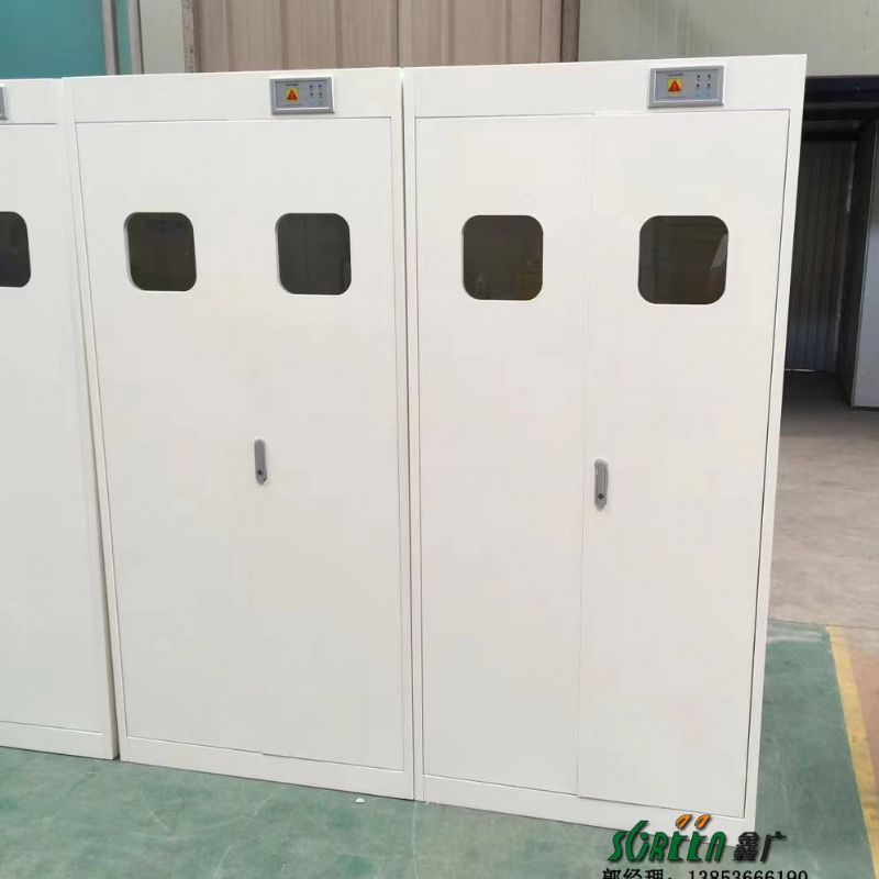 山东单双三瓶实验室气瓶柜化验室全钢报警防爆安全柜