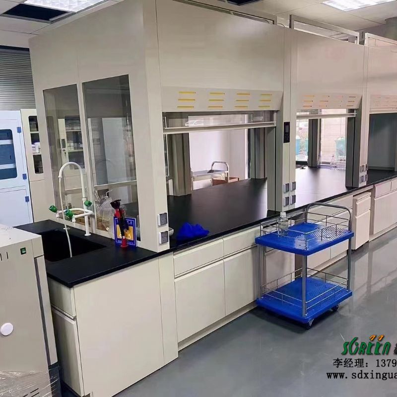 鑫广实验室桌面排风罩 桌上型双面通风柜 集气罩 通风管道