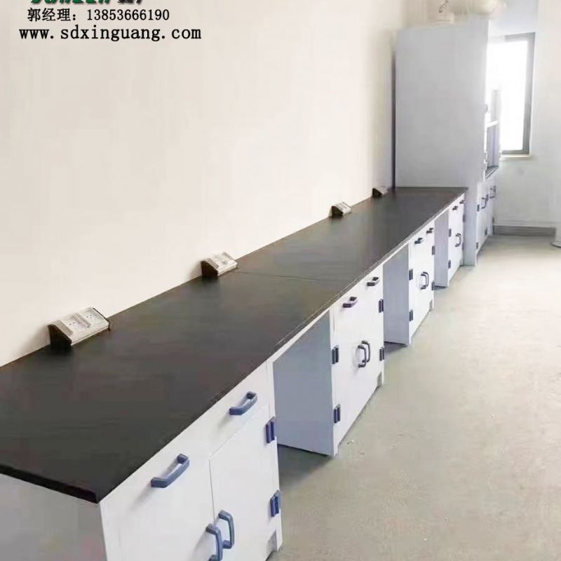 化验室pp实验台 pp器皿柜 pp通风柜操作台实验台定制