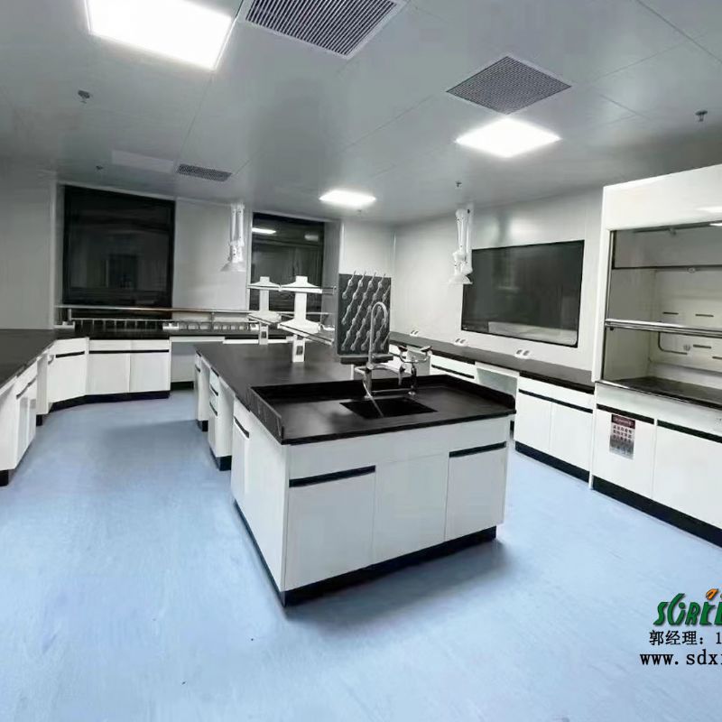 潍坊实验室设备 全钢实验台 化验室边台 通风柜 器皿柜