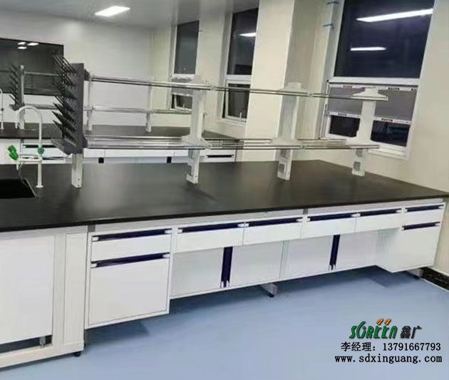 潍坊实验室设备 铝合金试剂架 全钢钢木实验台试剂架