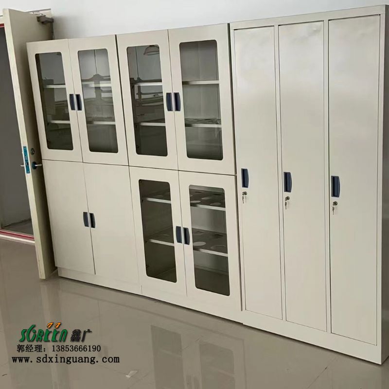 全钢试剂柜样品柜仪器柜实验室器皿柜厂家批发