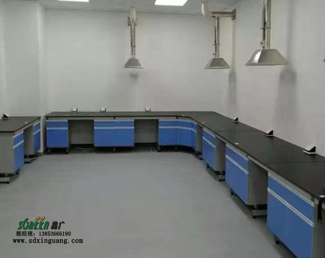 潍坊实验台 通风系统实验室操作台 厂家供应