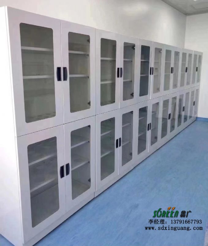 实验室全钢试剂柜 耐酸碱实验室柜 样品存储柜供应